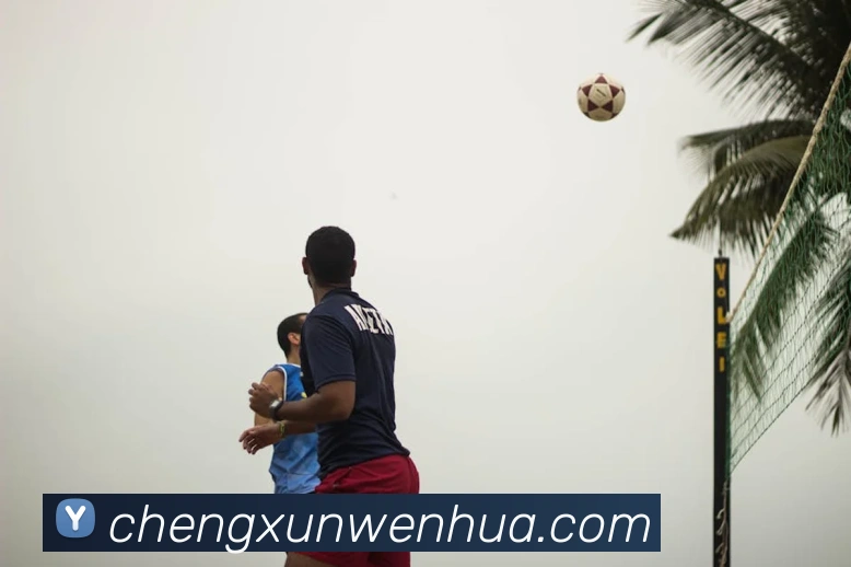 世界杯开户平台平台生态图